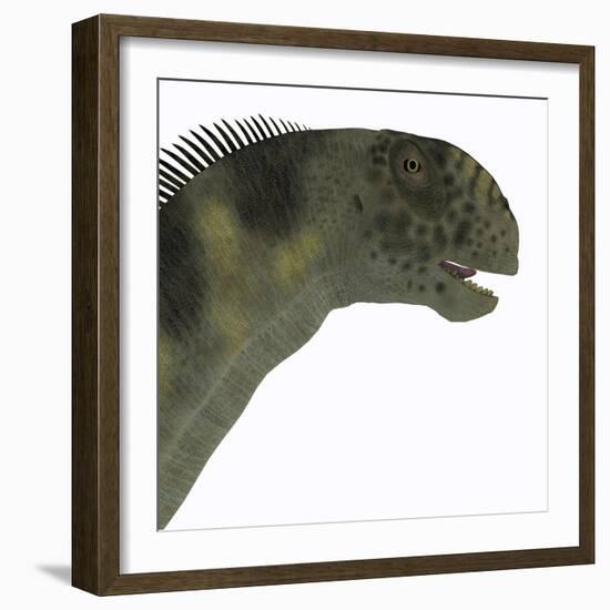 Camarasaurus Dinosaur Head-Stocktrek Images-Framed Art Print