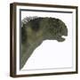 Camarasaurus Dinosaur Head-Stocktrek Images-Framed Art Print