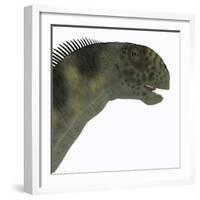 Camarasaurus Dinosaur Head-Stocktrek Images-Framed Art Print