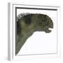 Camarasaurus Dinosaur Head-Stocktrek Images-Framed Art Print