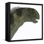 Camarasaurus Dinosaur Head-Stocktrek Images-Framed Stretched Canvas