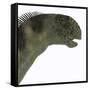 Camarasaurus Dinosaur Head-Stocktrek Images-Framed Stretched Canvas