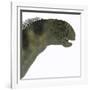 Camarasaurus Dinosaur Head-Stocktrek Images-Framed Art Print