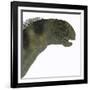 Camarasaurus Dinosaur Head-Stocktrek Images-Framed Art Print