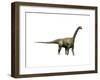 Camarasaurus Dinosaur-null-Framed Art Print