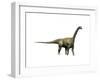 Camarasaurus Dinosaur-null-Framed Art Print