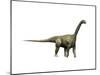 Camarasaurus Dinosaur-null-Mounted Art Print