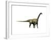 Camarasaurus Dinosaur-null-Framed Art Print