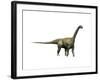 Camarasaurus Dinosaur-null-Framed Art Print