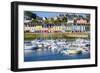 Camaret Sur Mer With Marina-Cora Niele-Framed Photographic Print