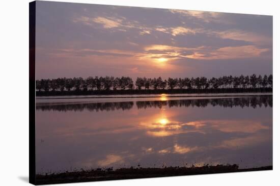 Camargue - Bouches-Du-Rhone, France-Achim Bednorz-Stretched Canvas