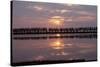 Camargue - Bouches-Du-Rhone, France-Achim Bednorz-Stretched Canvas