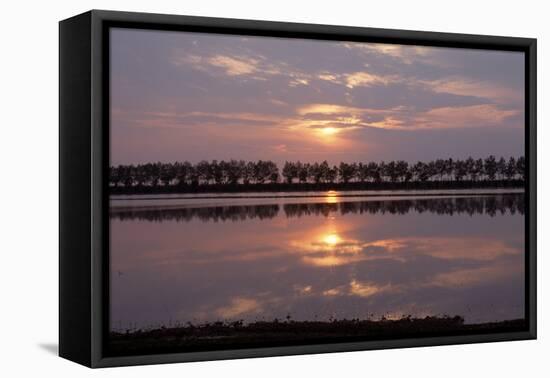 Camargue - Bouches-Du-Rhone, France-Achim Bednorz-Framed Stretched Canvas