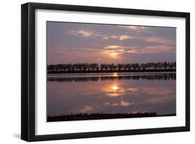 Camargue - Bouches-Du-Rhone, France-Achim Bednorz-Framed Photographic Print