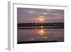 Camargue - Bouches-Du-Rhone, France-Achim Bednorz-Framed Photographic Print