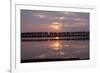 Camargue - Bouches-Du-Rhone, France-Achim Bednorz-Framed Photographic Print