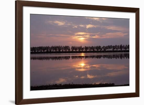 Camargue - Bouches-Du-Rhone, France-Achim Bednorz-Framed Photographic Print