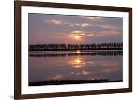 Camargue - Bouches-Du-Rhone, France-Achim Bednorz-Framed Photographic Print