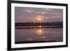 Camargue - Bouches-Du-Rhone, France-Achim Bednorz-Framed Photographic Print