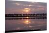 Camargue - Bouches-Du-Rhone, France-Achim Bednorz-Mounted Photographic Print