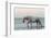 Camargue Horse, adult, walking in water at sunset, Saintes Marie de la Mer-Jurgen & Christine Sohns-Framed Photographic Print