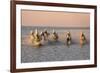 Camargue Horse, herd, running in water at sunset, Saintes Marie de la Mer-Jurgen & Christine Sohns-Framed Photographic Print