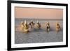 Camargue Horse, herd, running in water at sunset, Saintes Marie de la Mer-Jurgen & Christine Sohns-Framed Photographic Print