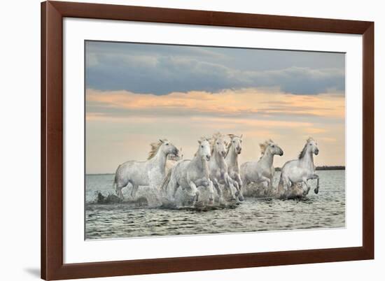 Camargue Horses - France-Xavier Ortega-Framed Art Print