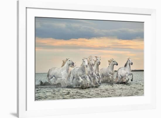 Camargue Horses - France-Xavier Ortega-Framed Art Print