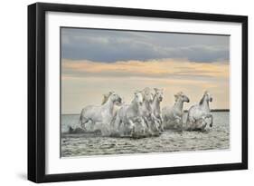 Camargue Horses - France-Xavier Ortega-Framed Giclee Print