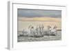 Camargue Horses - France-Xavier Ortega-Framed Giclee Print