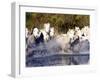 Camargue Horses, Ile Del La Camargue, France-Gavriel Jecan-Framed Photographic Print