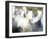 Camargue Horses, Ile Del La Camargue, France-Gavriel Jecan-Framed Photographic Print