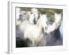 Camargue Horses, Ile Del La Camargue, France-Gavriel Jecan-Framed Photographic Print