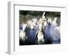 Camargue Horses, Ile Del La Camargue, France-Gavriel Jecan-Framed Photographic Print