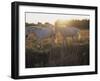 Camargue Horses, La Petite Camargue, in the Region of Aigues-Mortes, Languedoc-Roussillon, France-J P De Manne-Framed Photographic Print