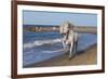 Camargue Horses Running on the Beach, Bouches Du Rhone, Provence, France, Europe-Gabrielle and Michel Therin-Weise-Framed Photographic Print