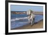 Camargue Horses Running on the Beach, Bouches Du Rhone, Provence, France, Europe-Gabrielle and Michel Therin-Weise-Framed Photographic Print