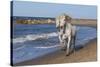 Camargue Horses Running on the Beach, Bouches Du Rhone, Provence, France, Europe-Gabrielle and Michel Therin-Weise-Stretched Canvas