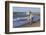 Camargue Horses Running on the Beach, Bouches Du Rhone, Provence, France, Europe-Gabrielle and Michel Therin-Weise-Framed Photographic Print