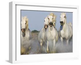 Camargue Horses Running-Theo Allofs-Framed Art Print