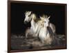 Camargue Horses-Bobbie Goodrich-Framed Giclee Print