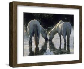 Camargue Horses-Christophe Boisvieux-Framed Photographic Print