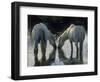 Camargue Horses-Christophe Boisvieux-Framed Photographic Print