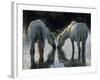 Camargue Horses-Christophe Boisvieux-Framed Photographic Print