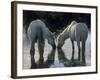 Camargue Horses-Christophe Boisvieux-Framed Photographic Print