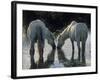 Camargue Horses-Christophe Boisvieux-Framed Photographic Print