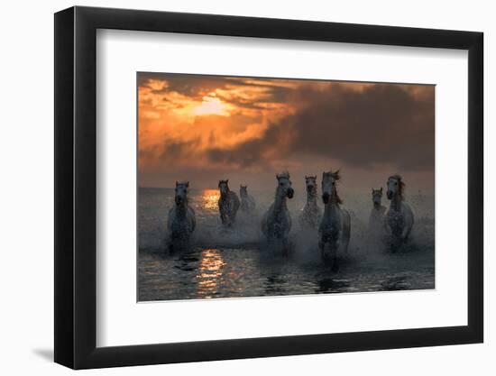 Camargue on Fire-Xavier Ortega-Framed Photographic Print