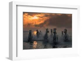 Camargue on Fire-Xavier Ortega-Framed Photographic Print