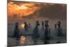 Camargue on Fire-Xavier Ortega-Mounted Photographic Print